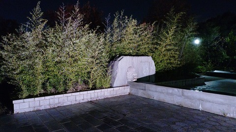 KIMG20251121_175053785