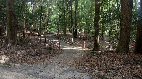KIMG20260822_080306513