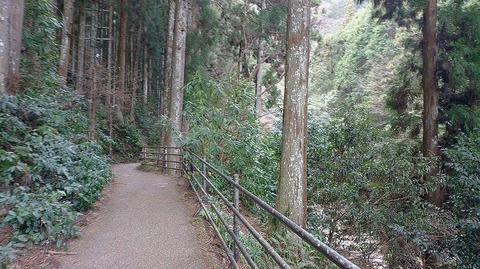 KIMG20260129_112101177