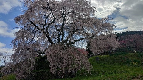 KIMG20260331_112432753