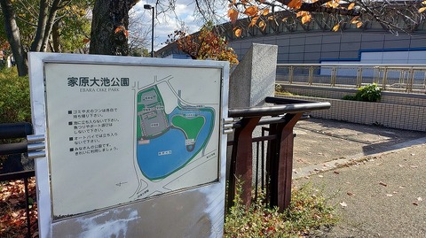 KIMG20251209_124521463