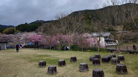 KIMG20260331_113200698