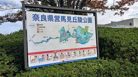 KIMG20251112_110022304