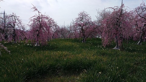 KIMG20260224_123738100