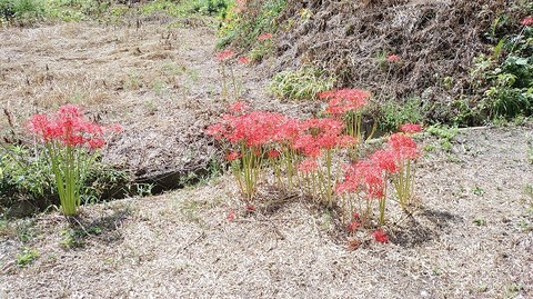 KIMG20251002_110451083