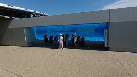 KIMG20251008_105226179