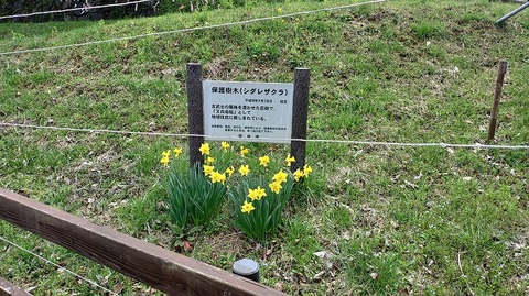 KIMG20260331_112420670