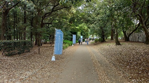 KIMG20260422_102514287