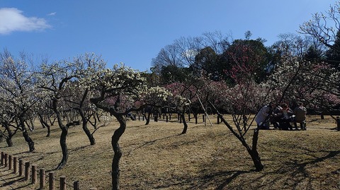 KIMG20260219_121827958