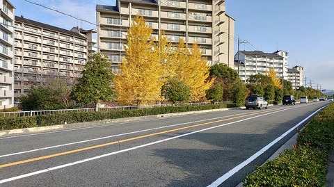 KIMG20251121_083741863