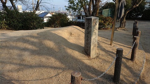 KIMG20260124_084408229