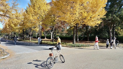 KIMG20251123_102233755