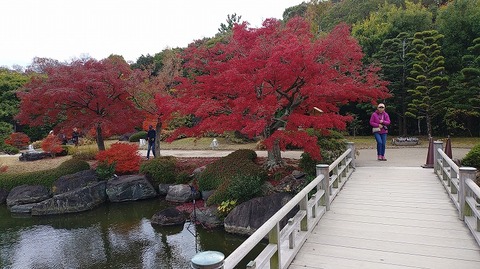 KIMG20251203_102247378