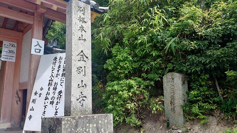 KIMG20260618_095057645