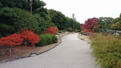 KIMG20251203_102005962