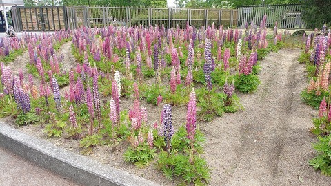 KIMG20260422_100628465