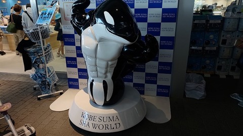 KIMG20251008_115255390