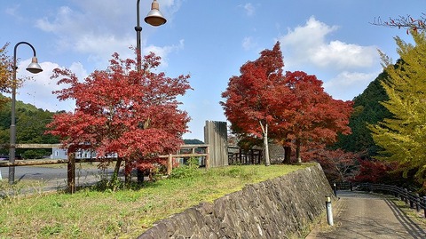 KIMG20251114_110519976