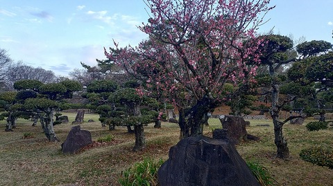 KIMG20260306_064721403