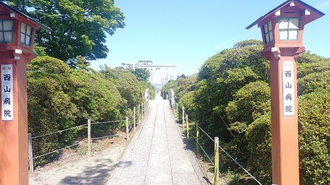 KIMG20260530_135850808