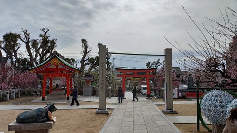 KIMG20260302_122534351