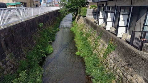 KIMG20260703_081915793