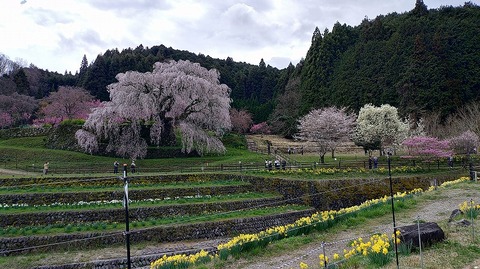 KIMG20260331_113946220