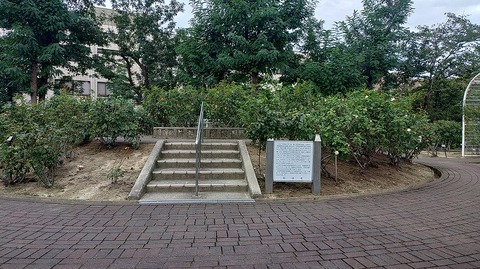 KIMG20260906_075323466