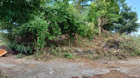 KIMG20260905_110326532