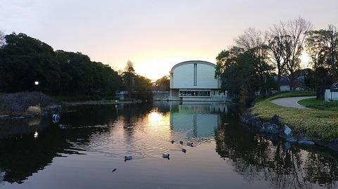 KIMG20260121_071117716