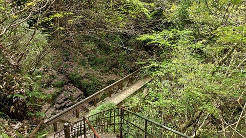 KIMG20260417_120727381