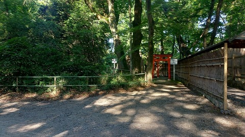 KIMG20260611_074938307