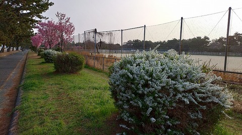 KIMG20260329_065644602