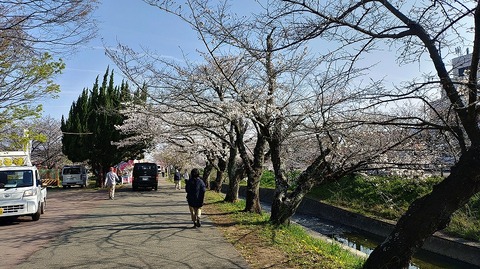 KIMG20260403_083028316