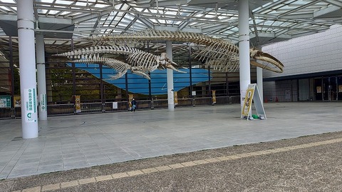 KIMG20260422_102823631