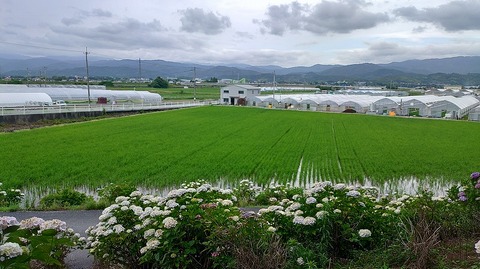 KIMG20260601_150218652