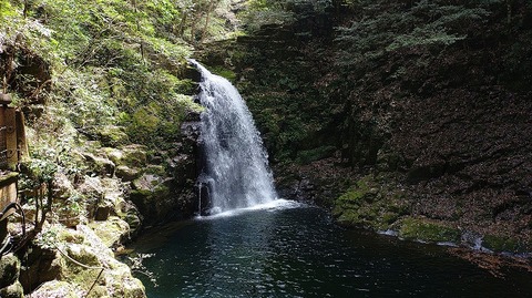 KIMG20260417_120616529