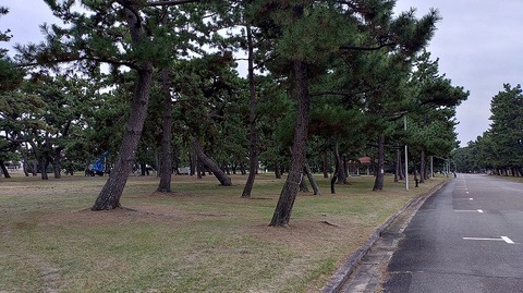 KIMG20251113_132336510