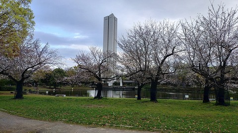 KIMG20260402_064308559