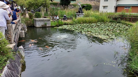 KIMG20250923_120041987