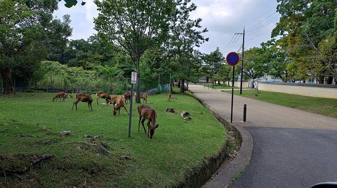 KIMG20250917_112452236