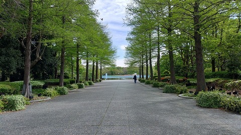 KIMG20260422_094828248