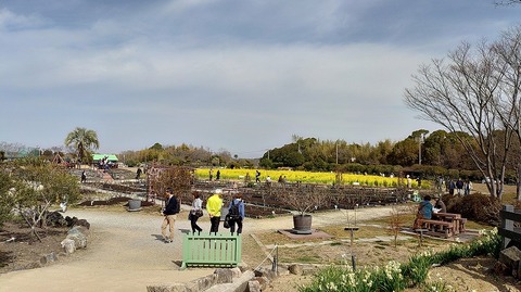 KIMG20260224_124305073