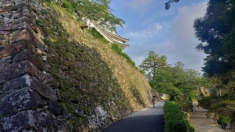 KIMG20260601_061627191