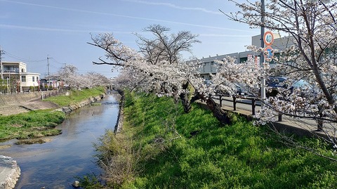 KIMG20260403_083336584