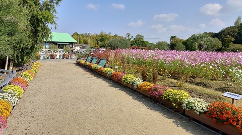 KIMG20251114_103636542