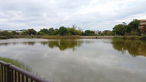 KIMG20251025_084445822