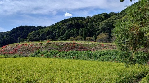 KIMG20251002_110339590