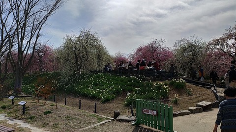 KIMG20260224_123447346