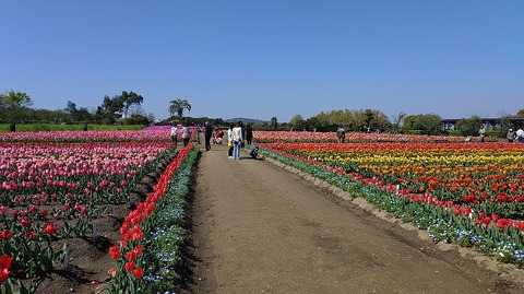 KIMG20260408_095630658